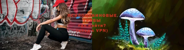 ПСИЛОЦИБИНОВЫЕ ГРИБЫ Алексеевка