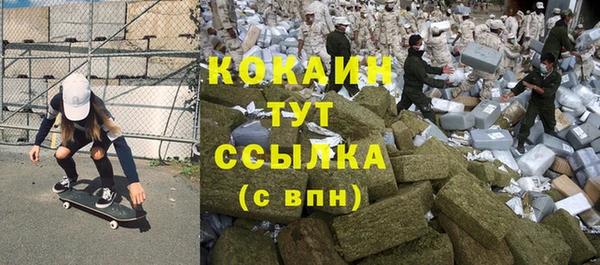 ПСИЛОЦИБИНОВЫЕ ГРИБЫ Алексеевка